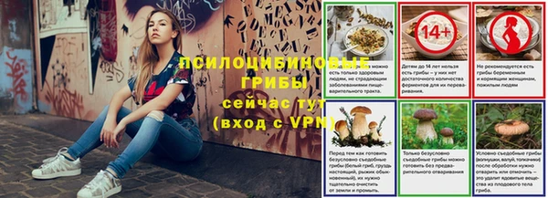 стафф Горно-Алтайск